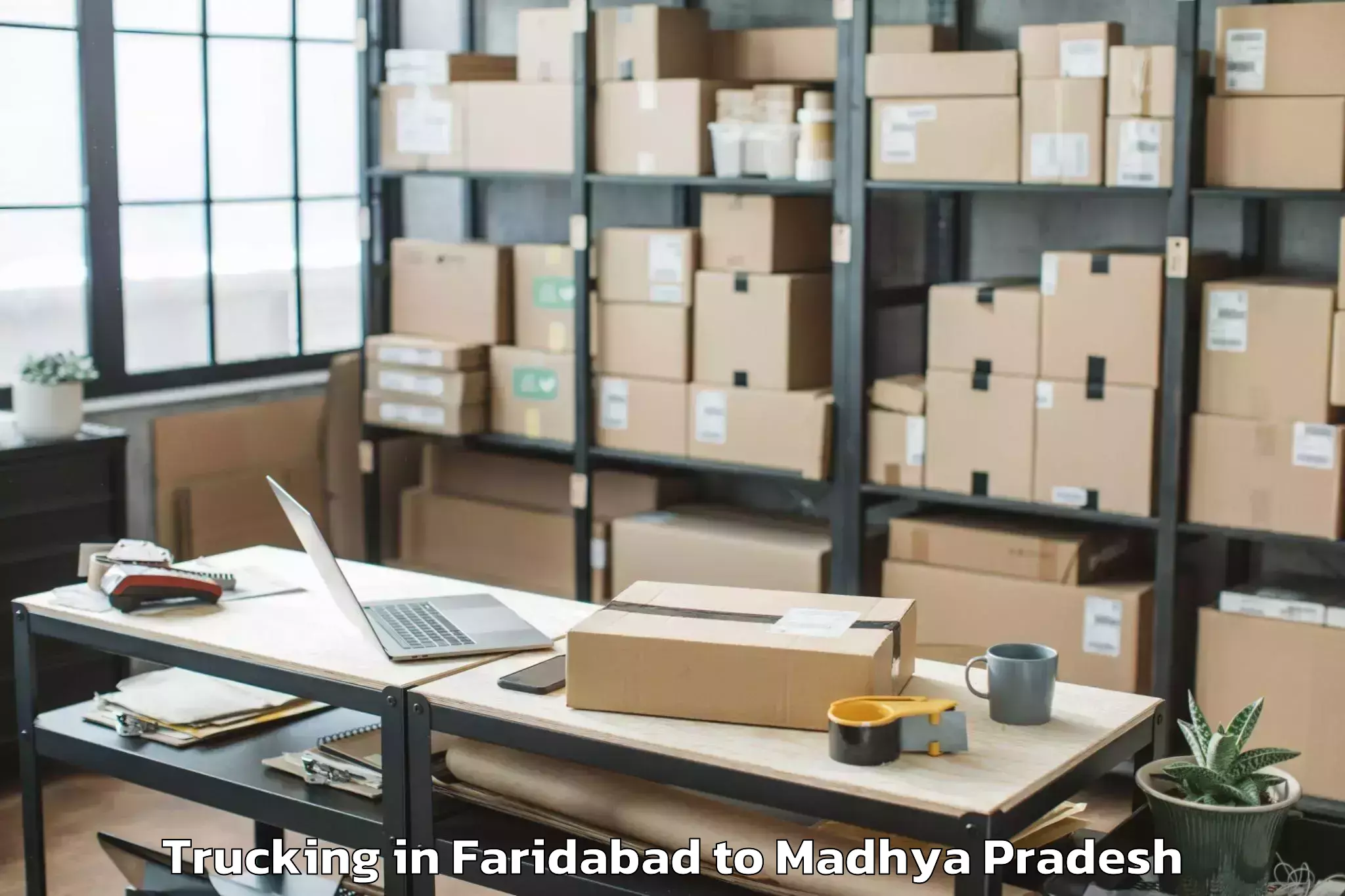 Easy Faridabad to Neemuch Trucking Booking